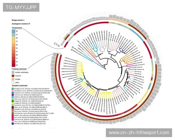 比赛焦点:关键生态位争夺影响整局战术选择解析,生态系统的关键度指数 比赛焦点:关键生态位争夺影响整局战术选择解析,生态系统的关键度指数